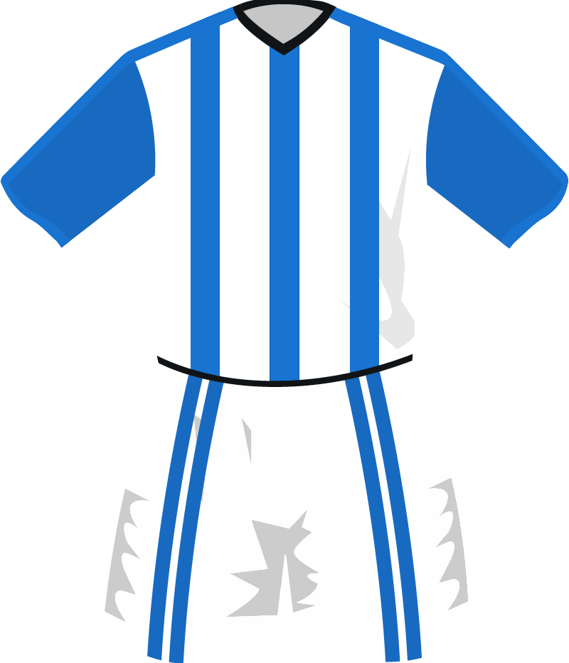 maglietta