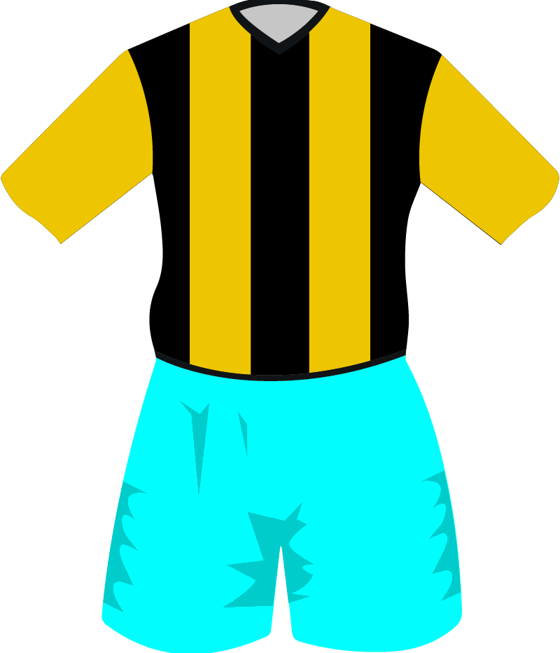 maglietta