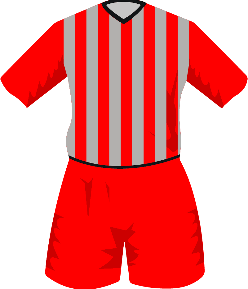 maglietta