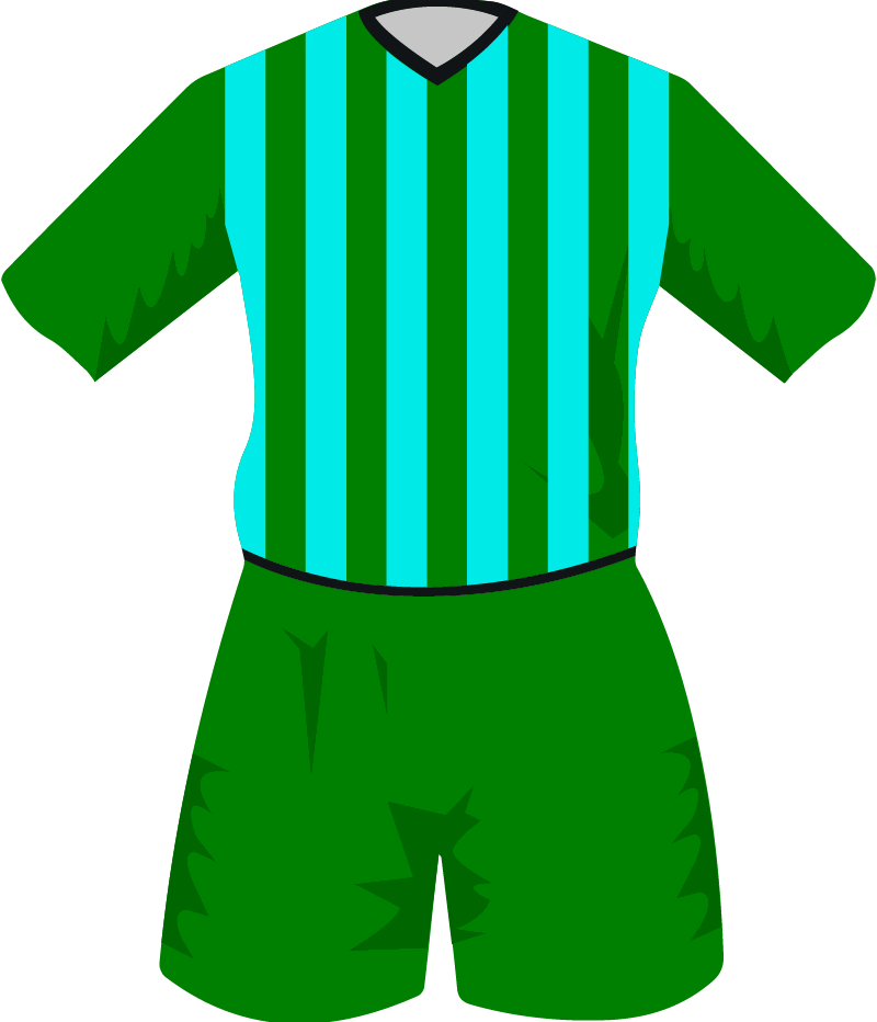 maglietta