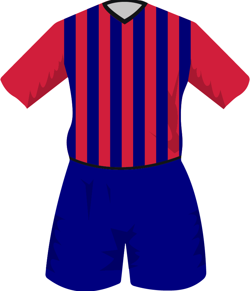 maglietta