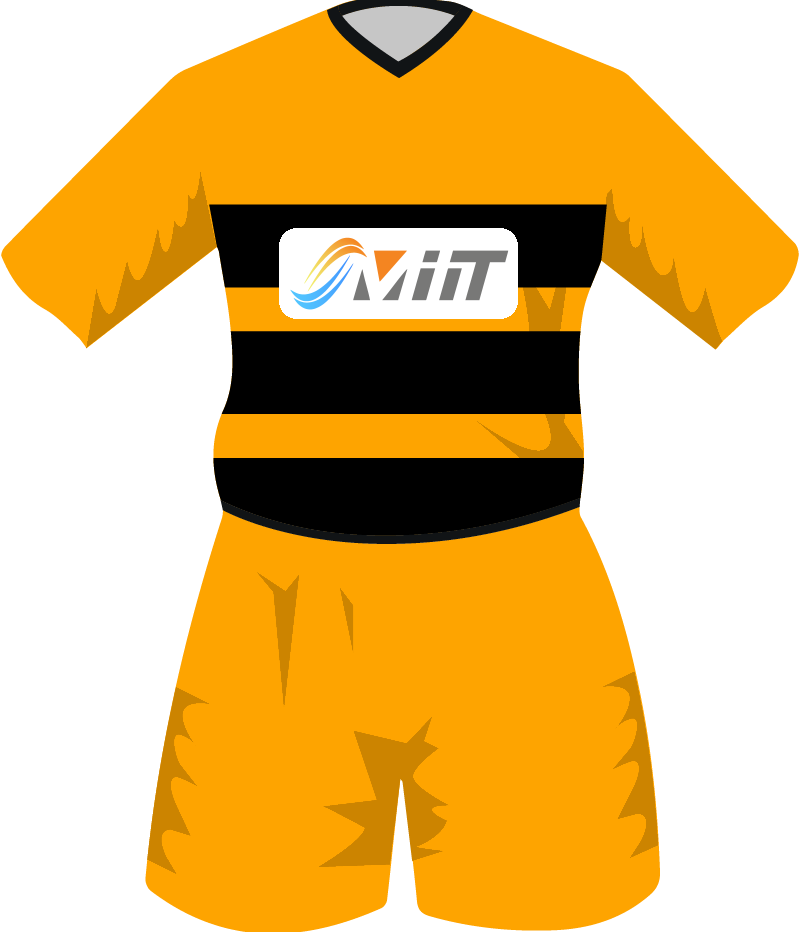 maglietta