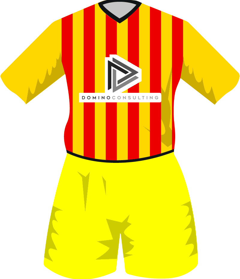 maglietta