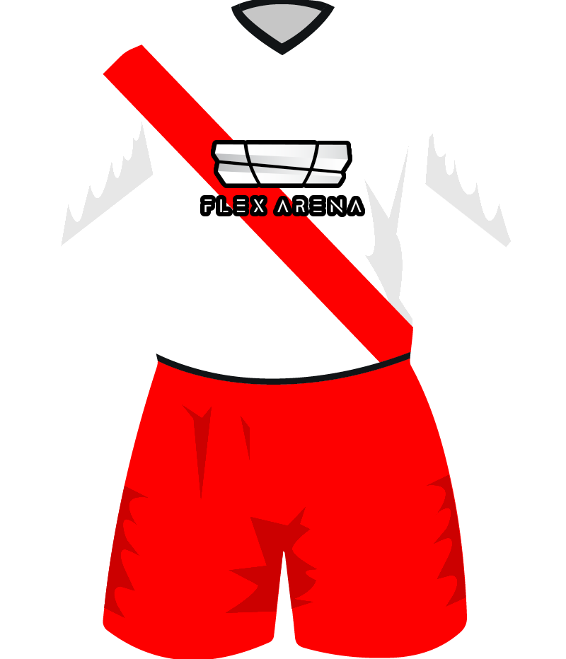 maglietta