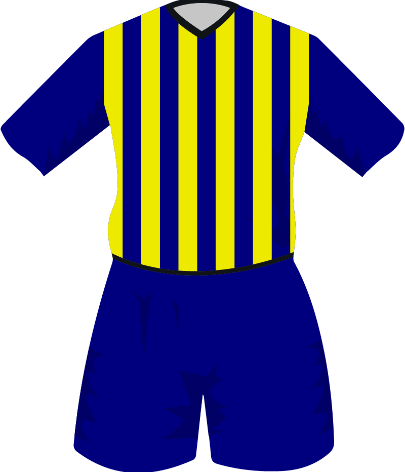 maglietta