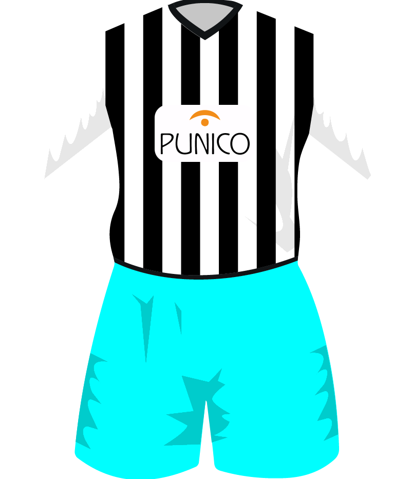 maglietta