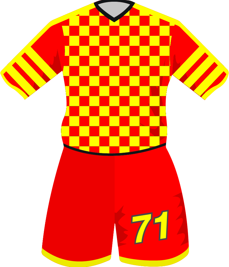 maglietta