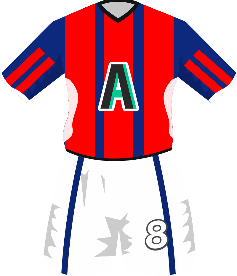 maglietta