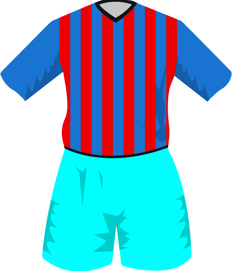 maglietta