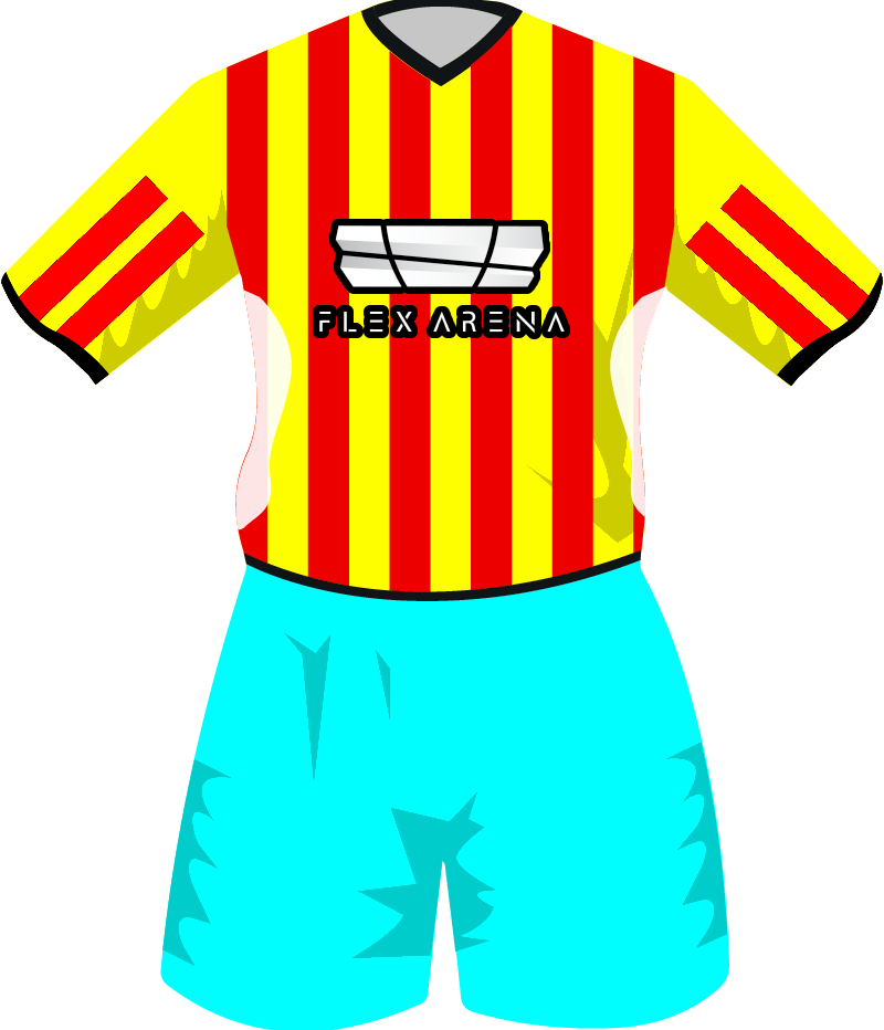 maglietta
