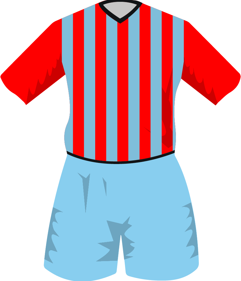 maglietta