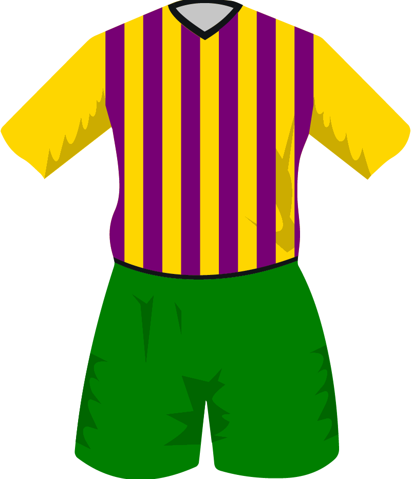 maglietta
