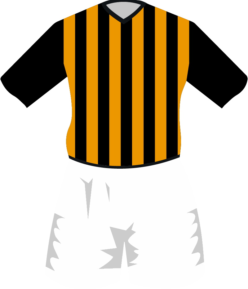 maglietta