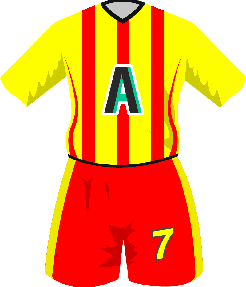 maglietta