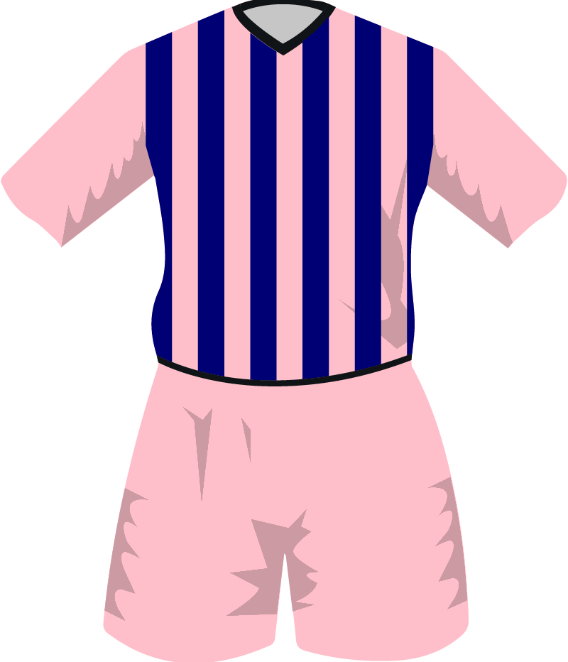 maglietta