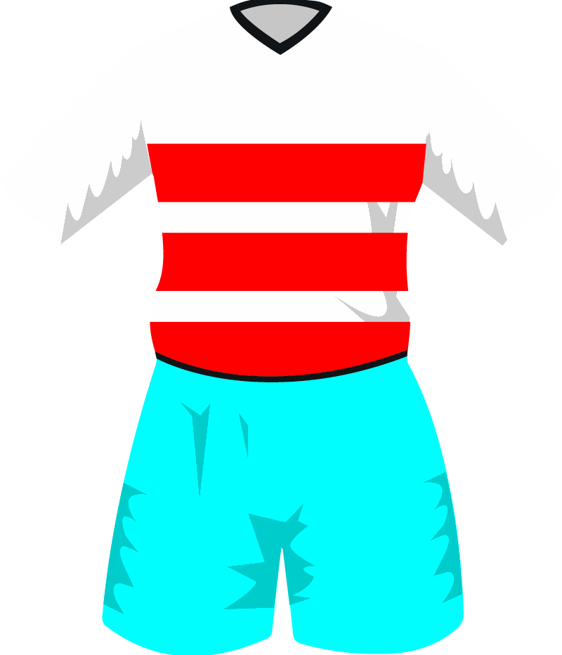 maglietta