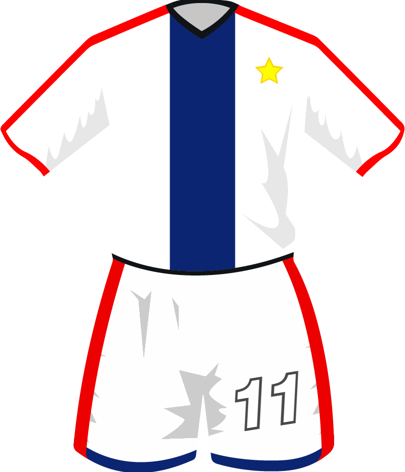maglietta