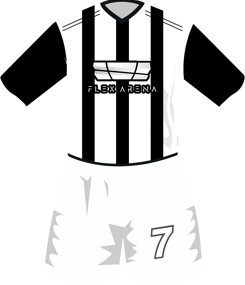 maglietta