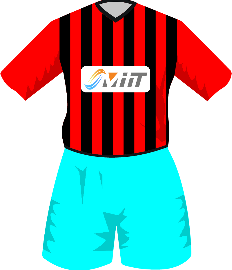 maglietta