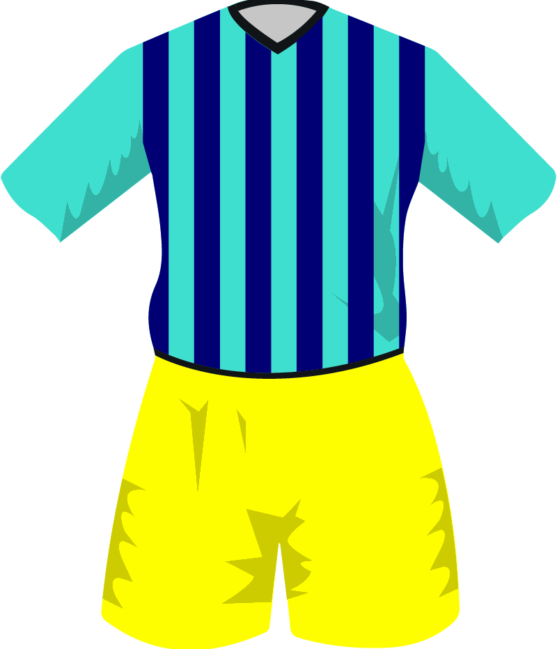 maglietta
