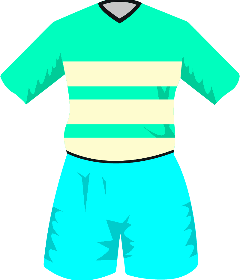 maglietta