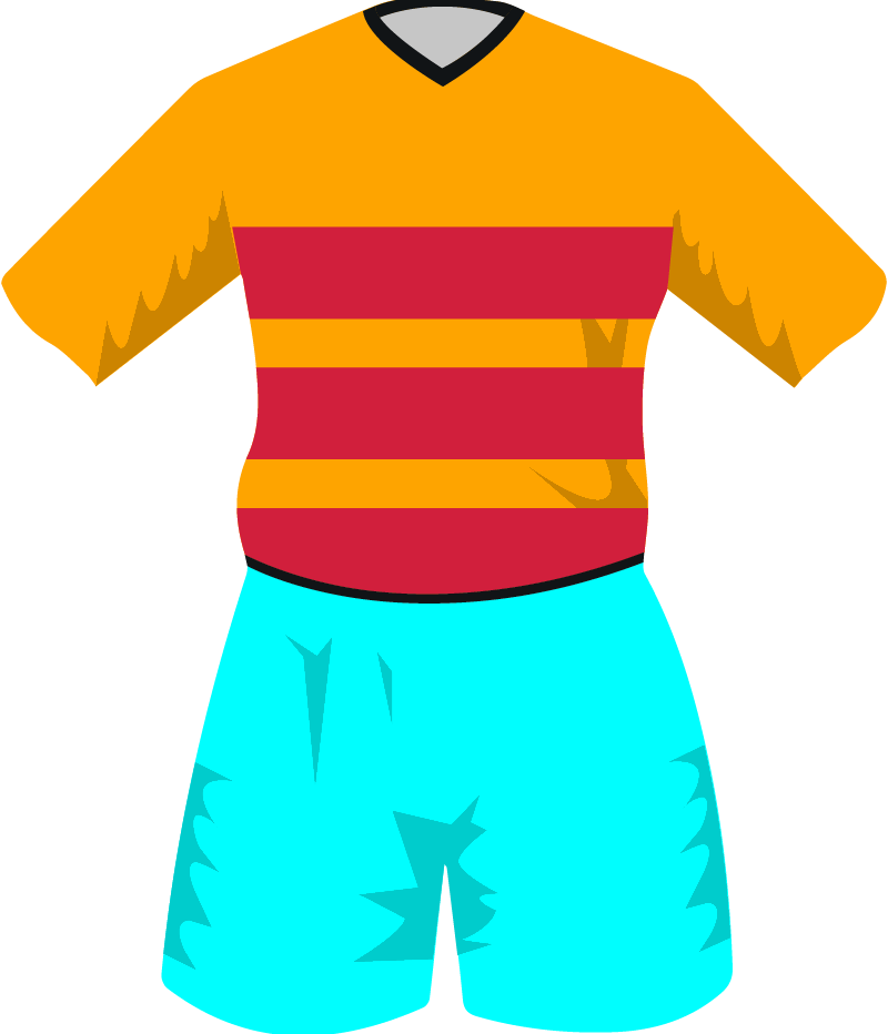 maglietta
