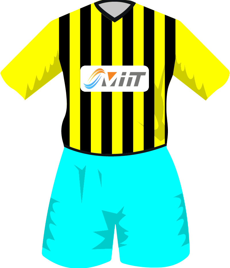 maglietta