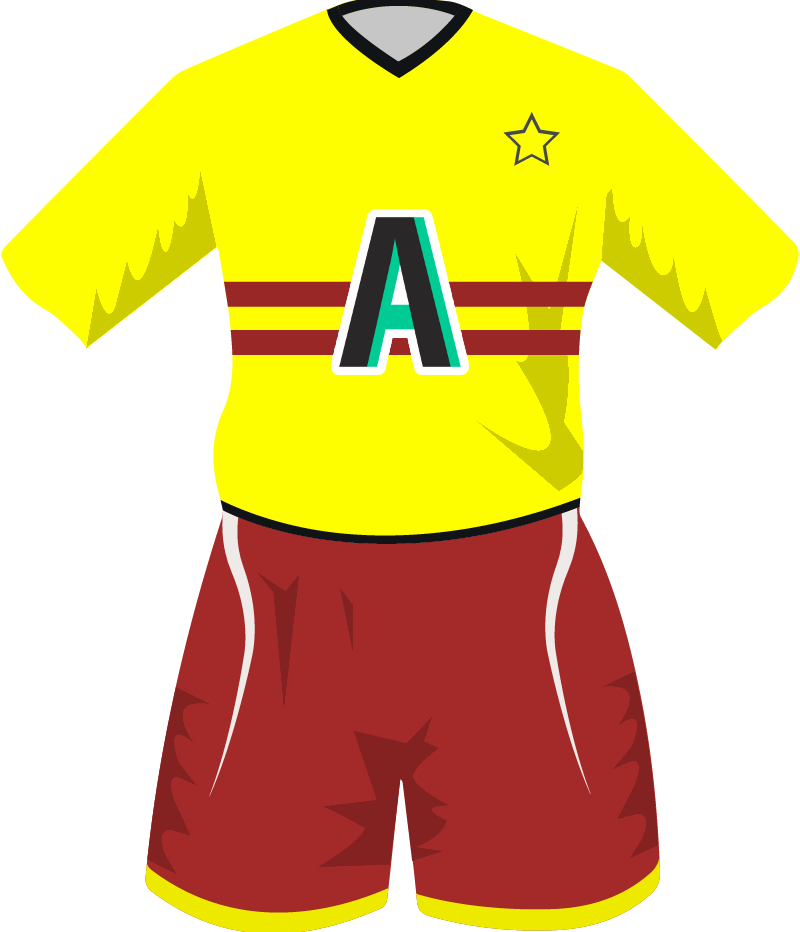maglietta