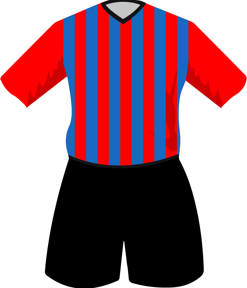 maglietta