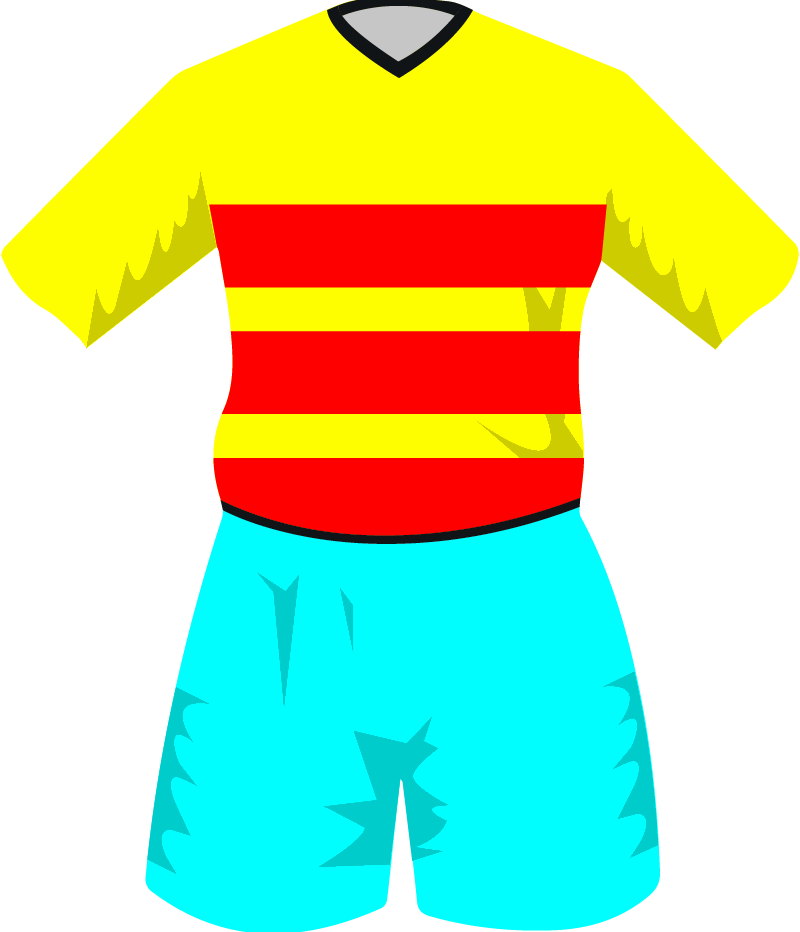 maglietta