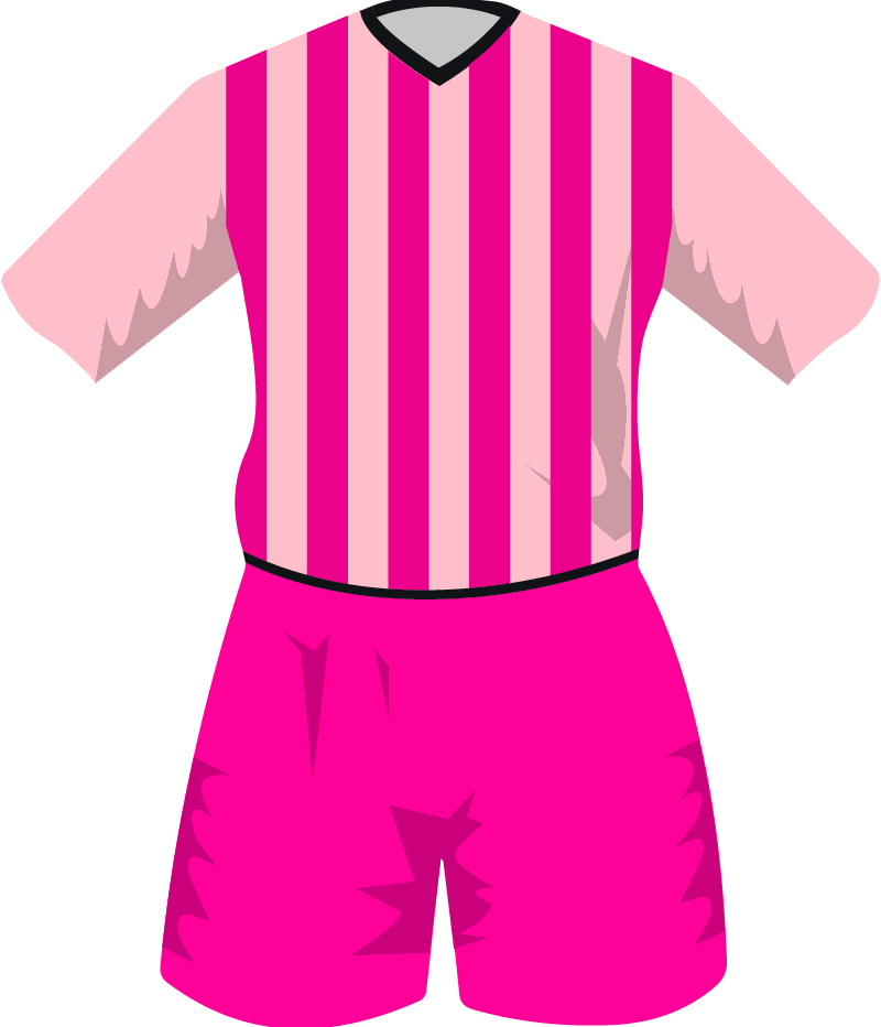 maglietta