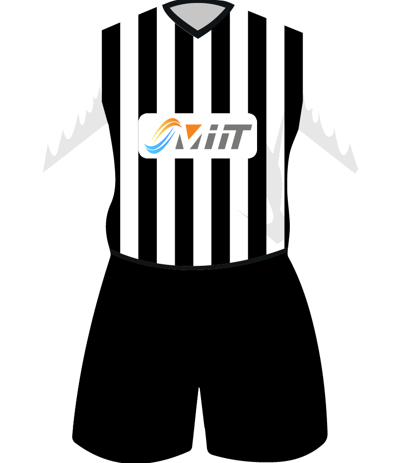 maglietta