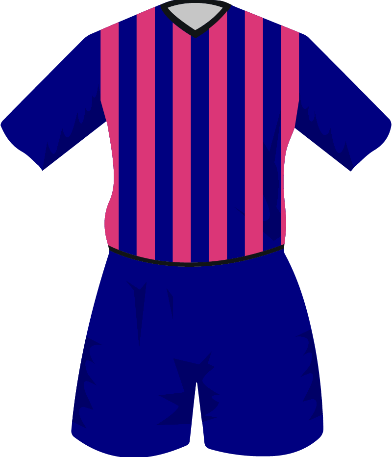 maglietta