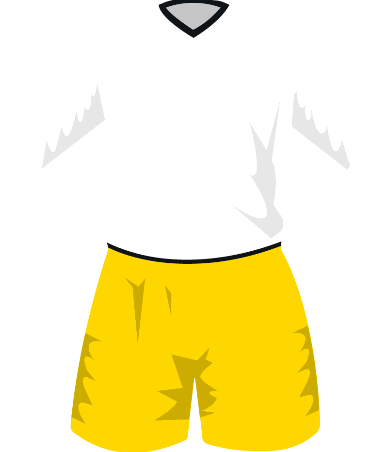 maglietta