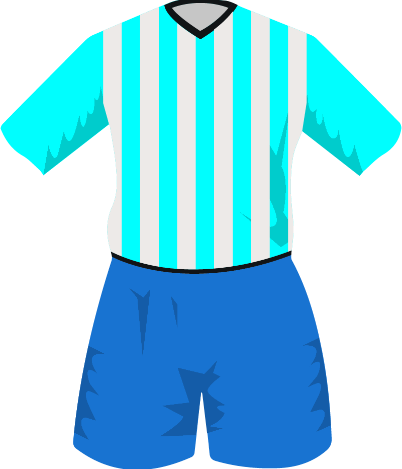 maglietta