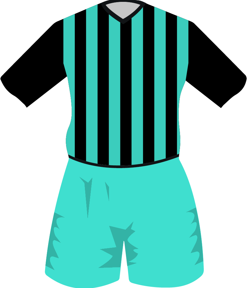 maglietta