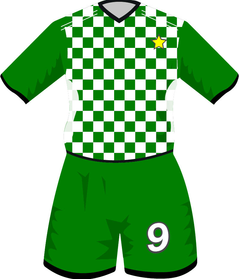 maglietta