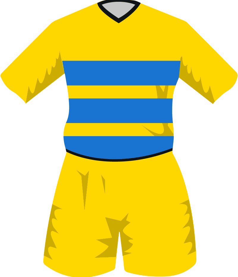 maglietta