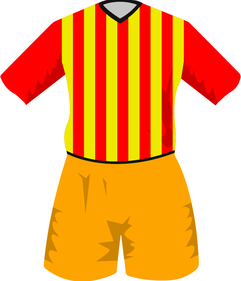 maglietta