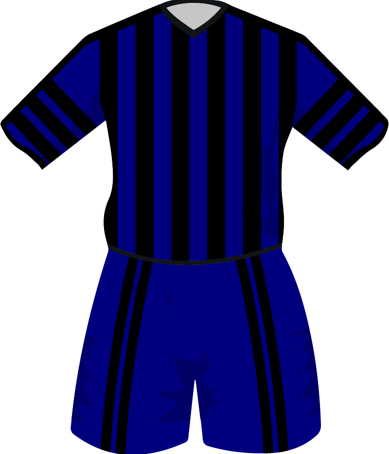 maglietta