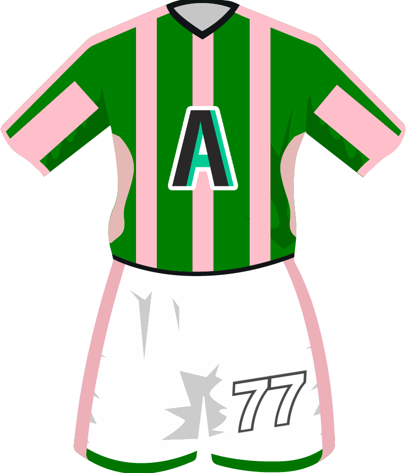 maglietta