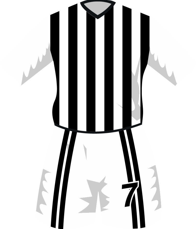 maglietta