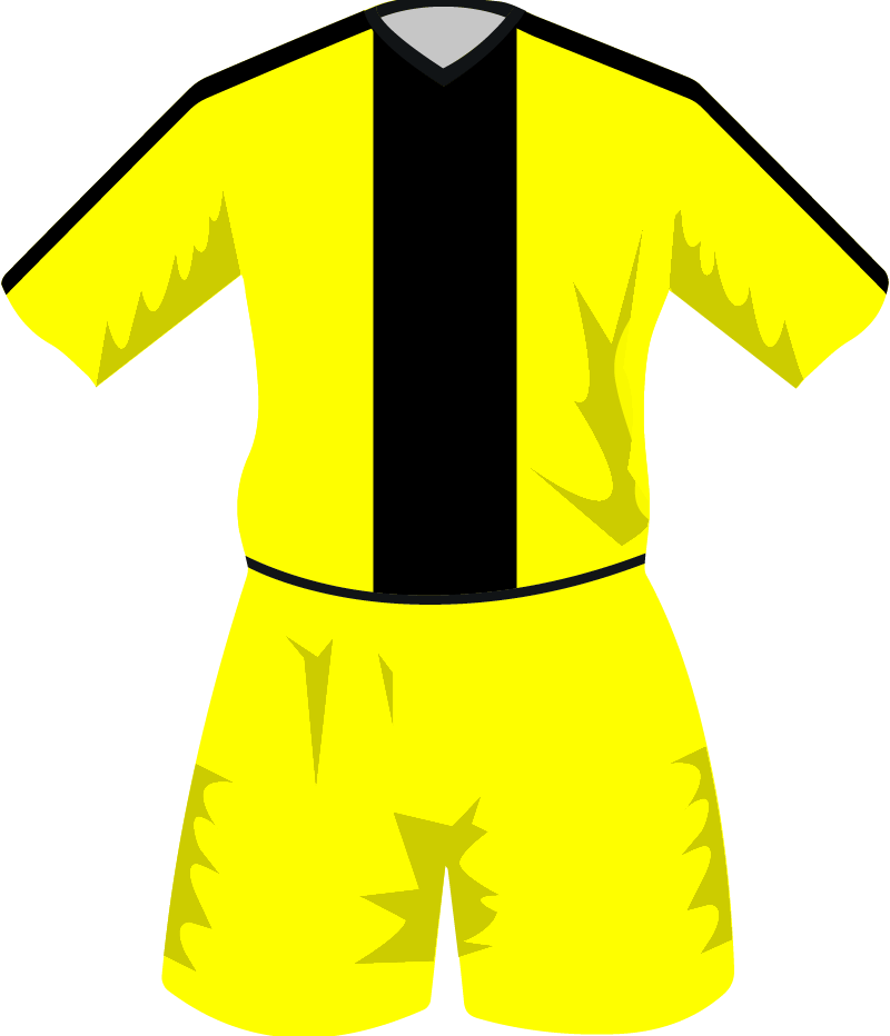 maglietta
