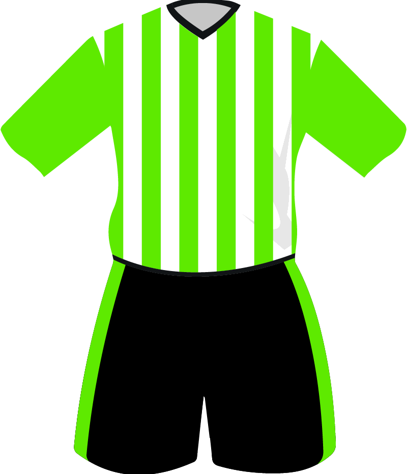 maglietta