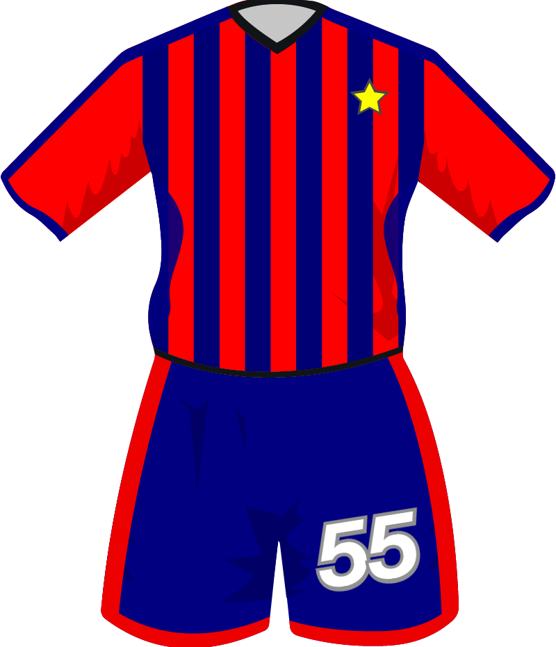 maglietta