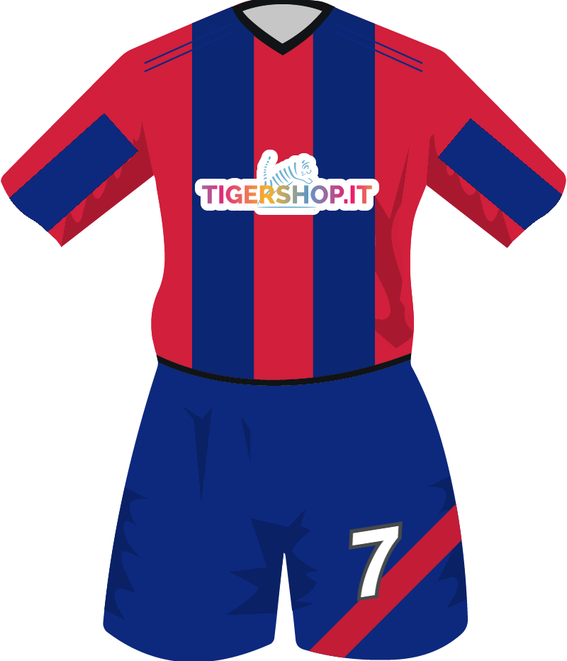 maglietta