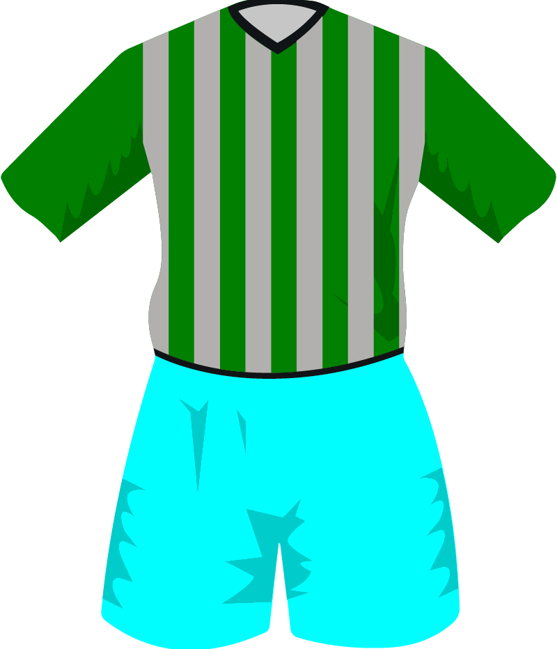 maglietta