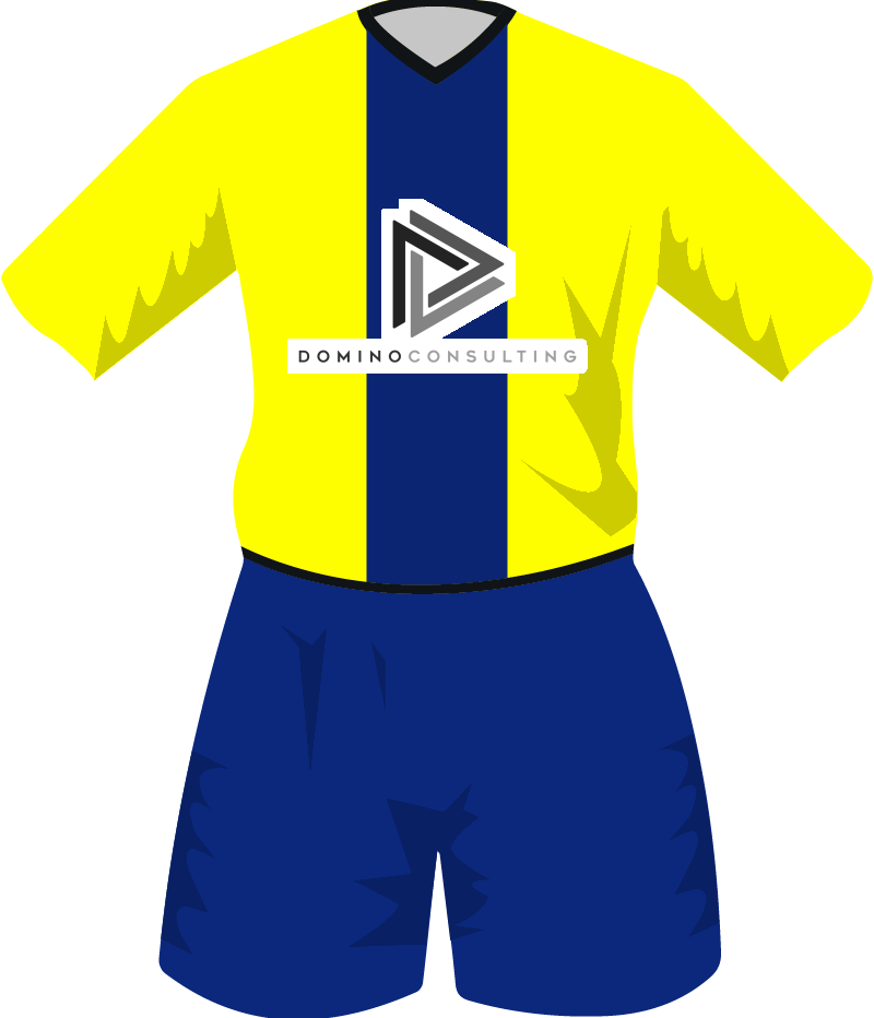 maglietta