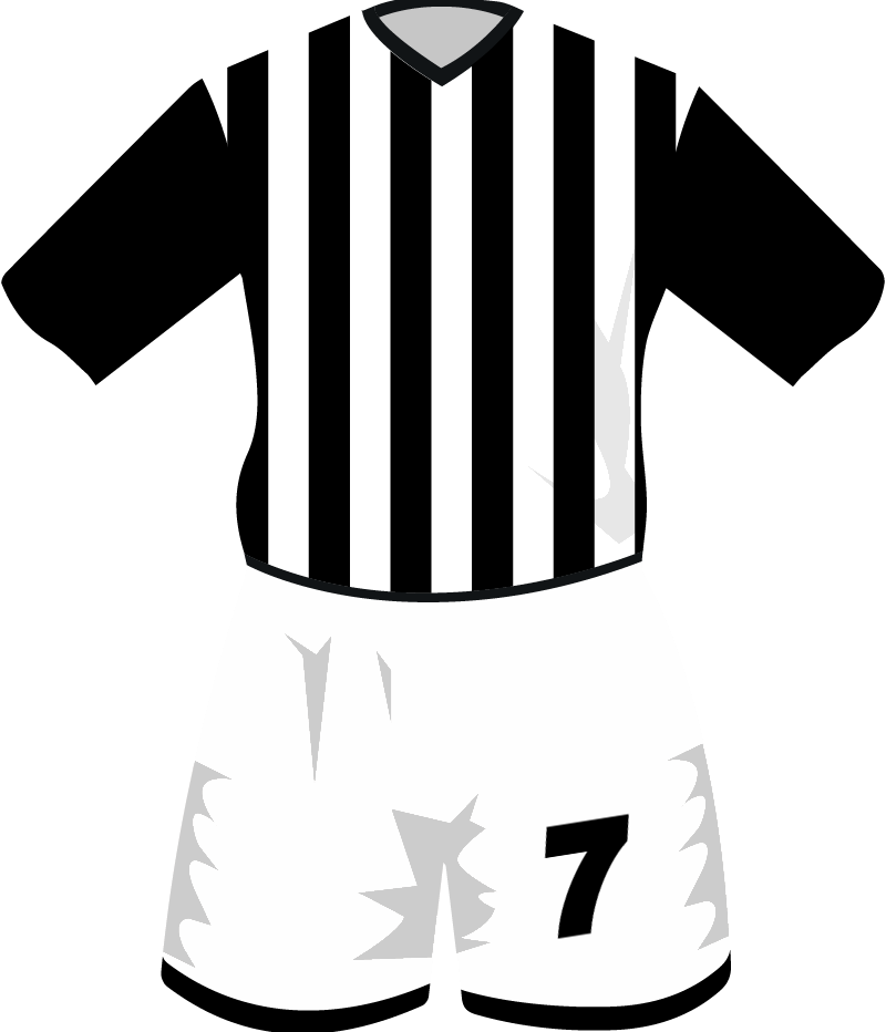 maglietta