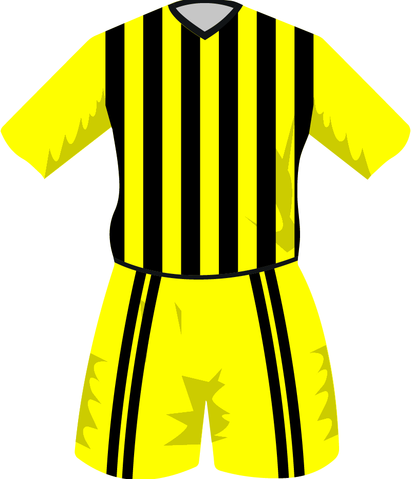 maglietta
